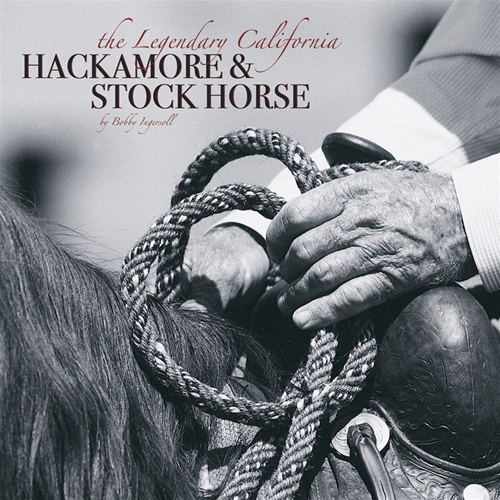 The Legendary California Hackamore & Stockhorse