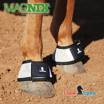 MagNTX Magnetic Bell Boots