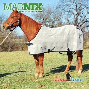 MagNTX Magnetic Horse Sheet